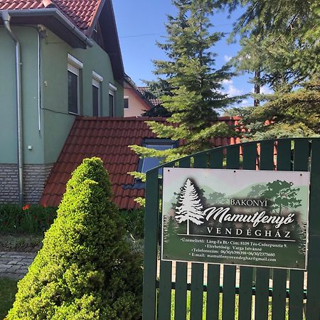 TésBakonyi Mamutfenyo Vendeghaz公寓 外观 照片