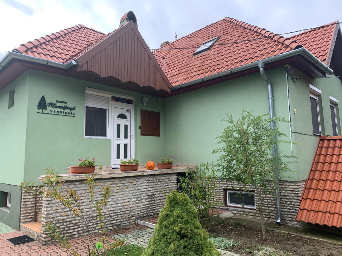 TésBakonyi Mamutfenyo Vendeghaz公寓 外观 照片
