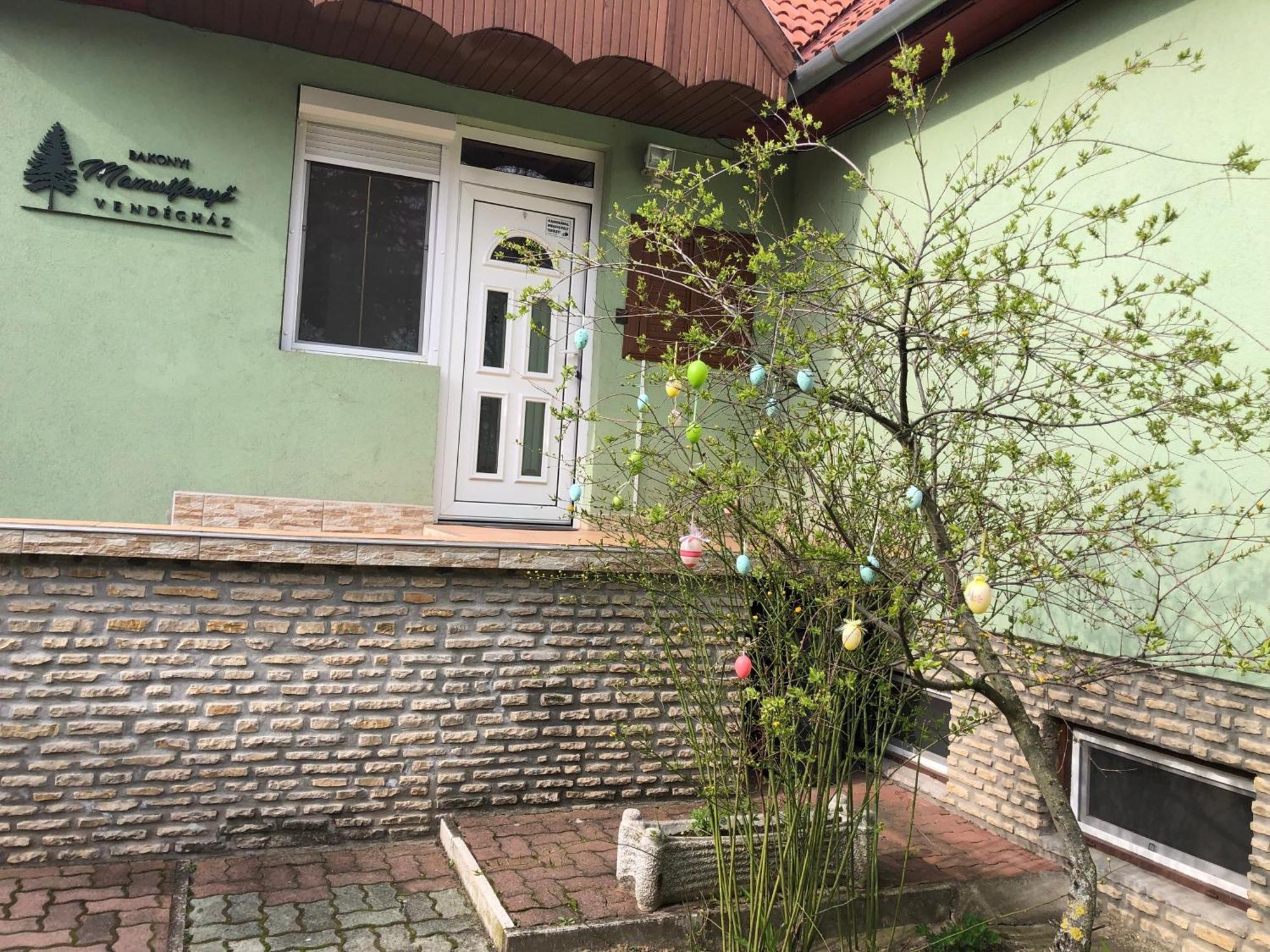 TésBakonyi Mamutfenyo Vendeghaz公寓 外观 照片