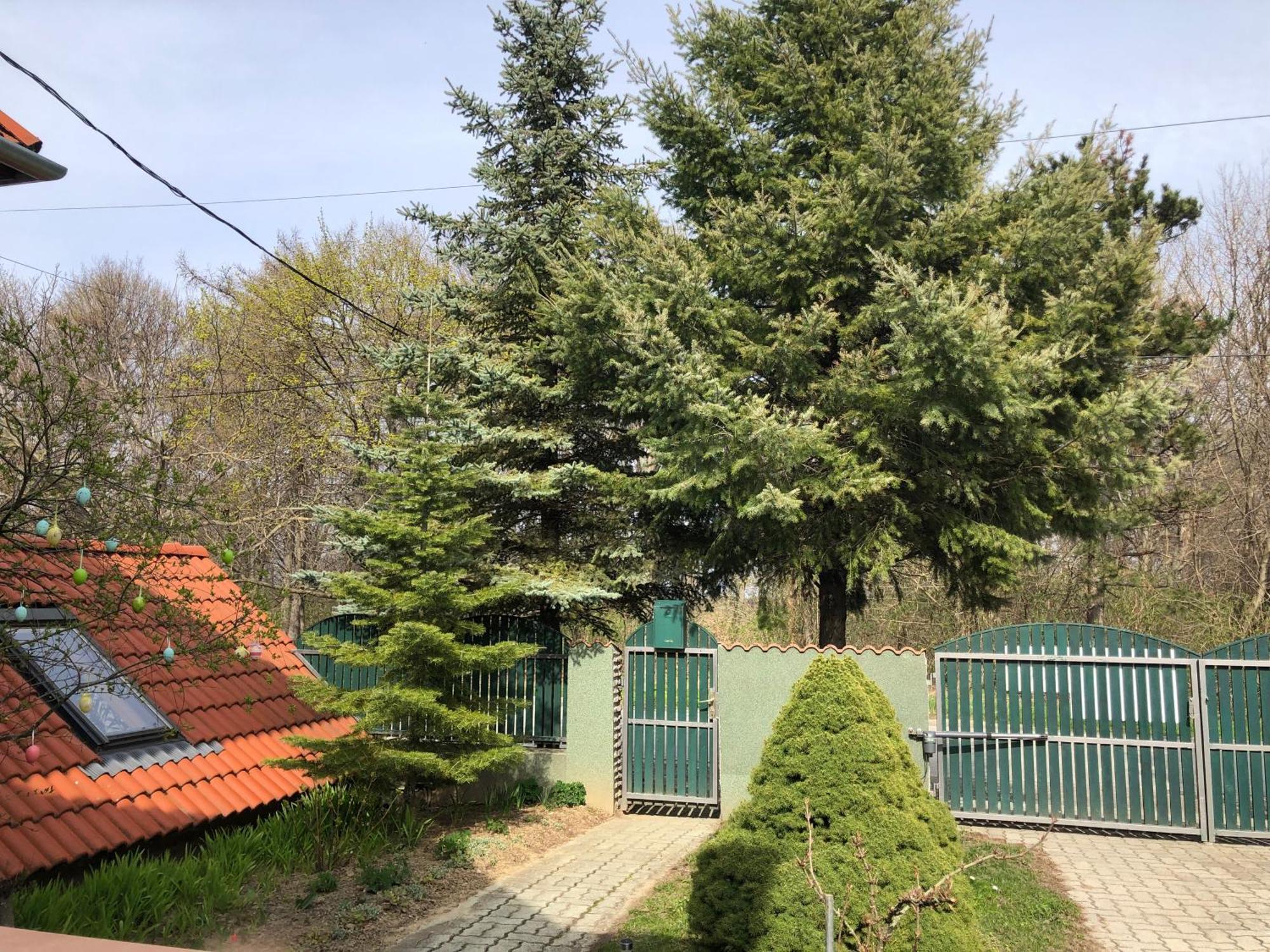 TésBakonyi Mamutfenyo Vendeghaz公寓 外观 照片